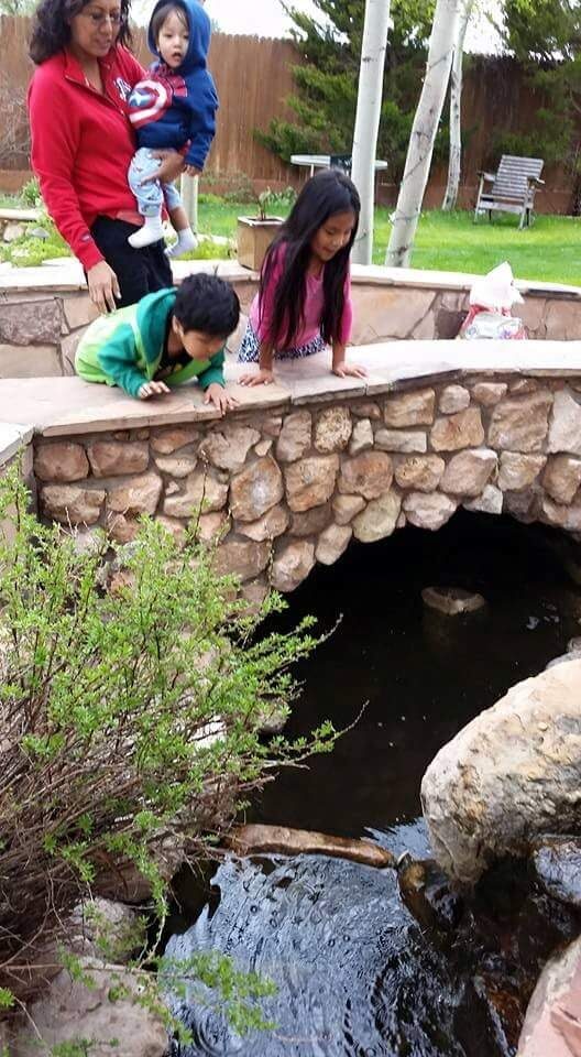 Children leaning on a small arched stone bridge over the koi pond, looking down at the fish